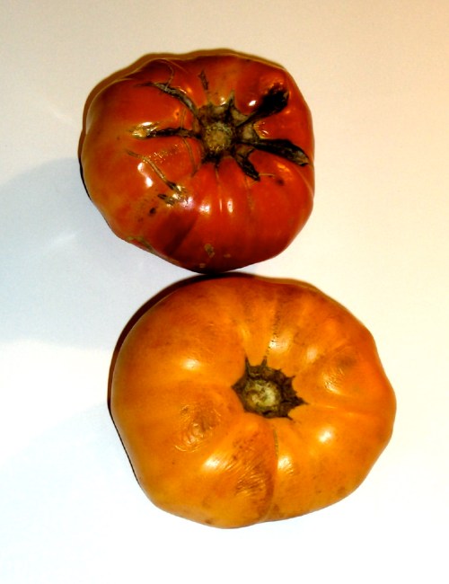 davidstomatoes davidstomatoes