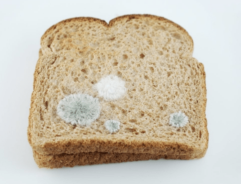 Screen shot 2011-06-29 at 9.34.16 AM