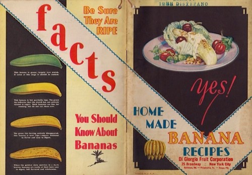 Banana sandwich cover