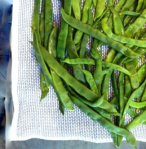 Screen Shot 2013-11-13 at 8.35.48 AM