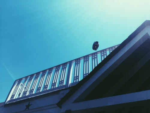 Processed with VSCOcam with p5 preset