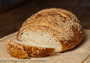 Screen Shot 2016-04-03 at 5.16.13 AM