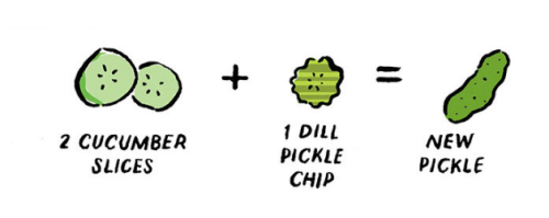 screen-shot-2017-01-05-at-8-56-42-pm